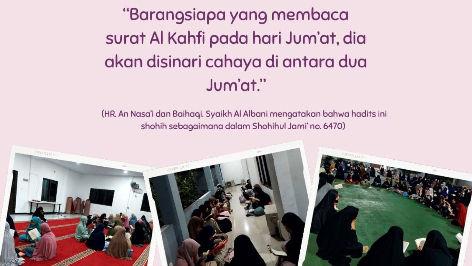 nibs_alkahfi