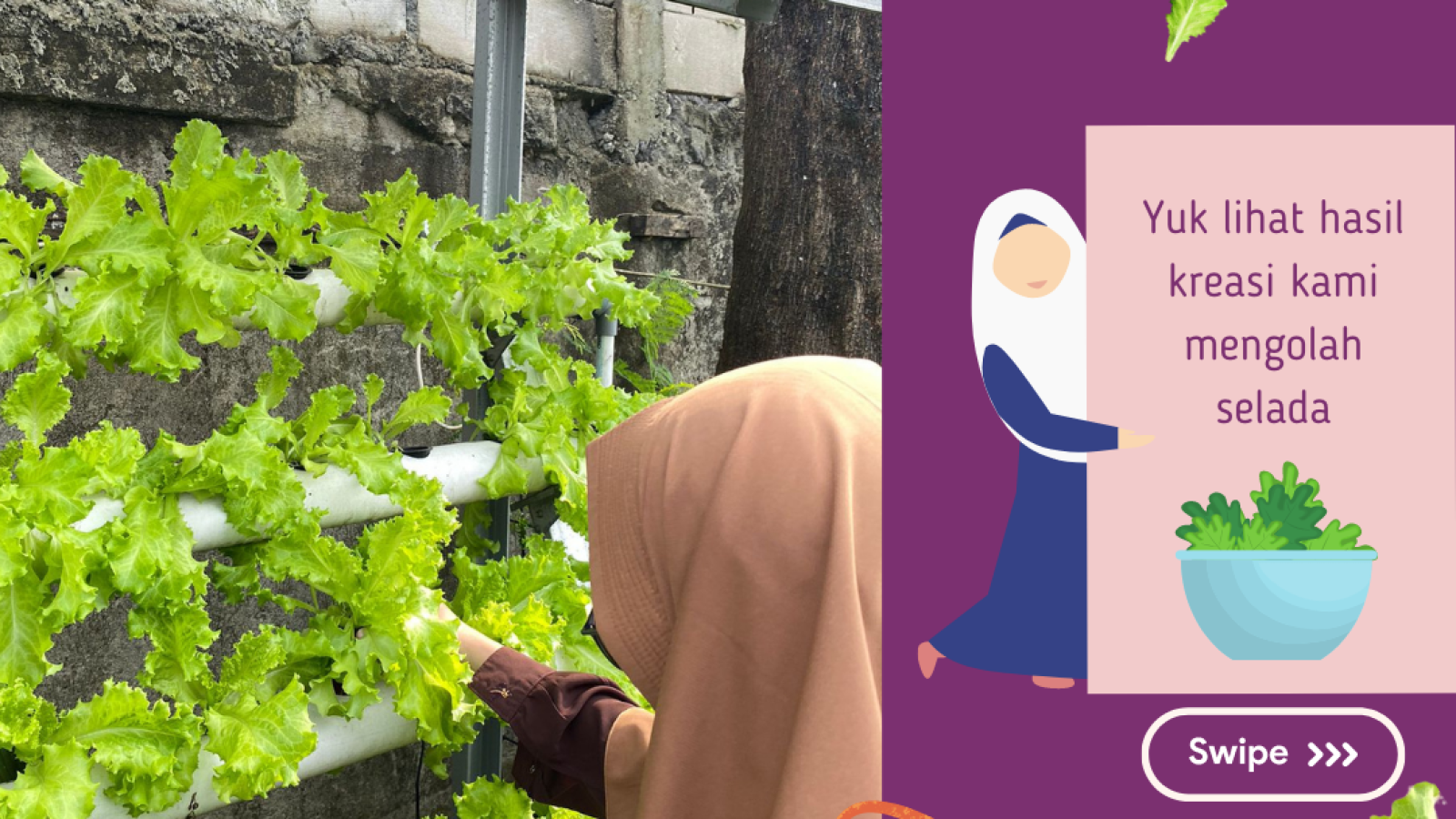 kamis pagi