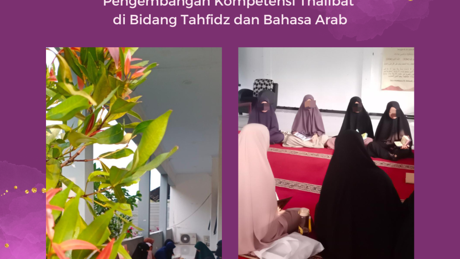 NIBS 24-29 juli