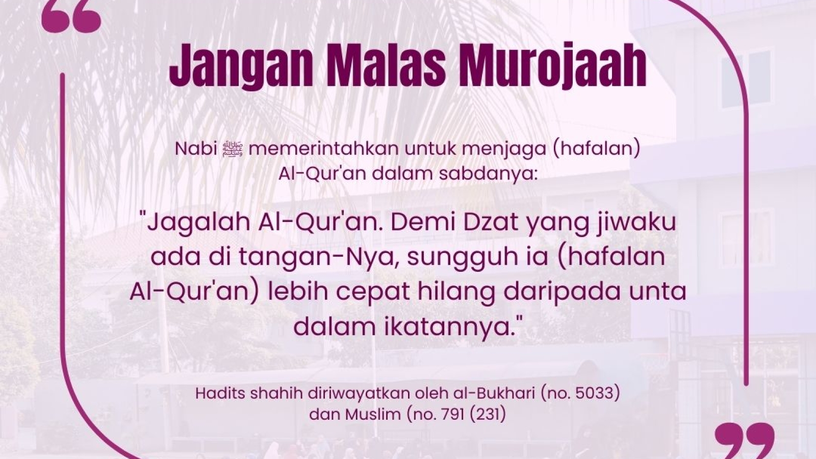 feed nibs (1080 x 1080 px) - 2025-12-26T104730.222