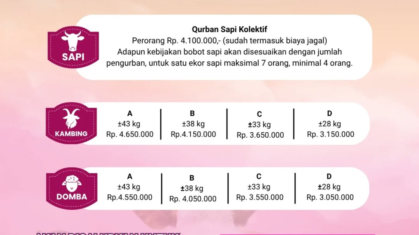 nuraida_ibs_829b4872067a4ab1afd8258e41173574